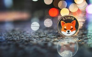 Shiba Inu Aims to Become Serious DeFi Contender, Add Digital IDs